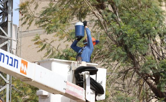 בגלל גלי החום: גידול משמעותי בצריכת החשמל
