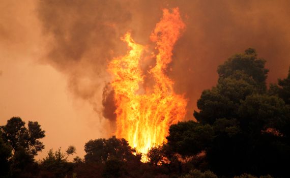 משלחת ישראלית תצא לסייע בכיבוי השריפות ביוון