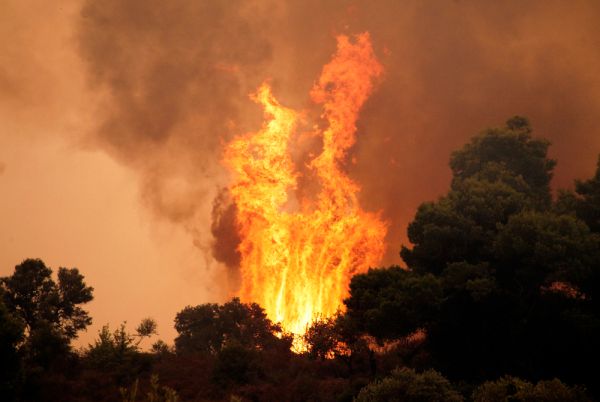משלחת ישראלית תצא לסייע בכיבוי השריפות ביוון