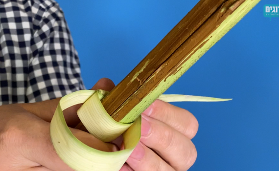 צפו: כך תכינו טבעות לולב עבור ארבעת המינים