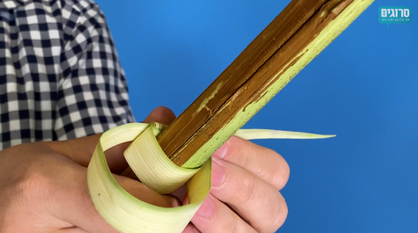 צפו: כך תכינו טבעות לולב עבור ארבעת המינים