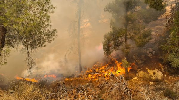 "מספר מוקדי הצתה" • שוב שריפה ביער גבעות