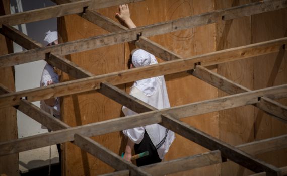 משירי שבעה רועים | האושפיזין של אליעז כהן