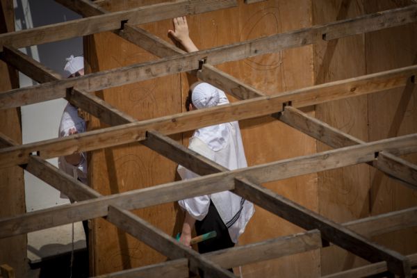 משירי שבעה רועים | האושפיזין של אליעז כהן