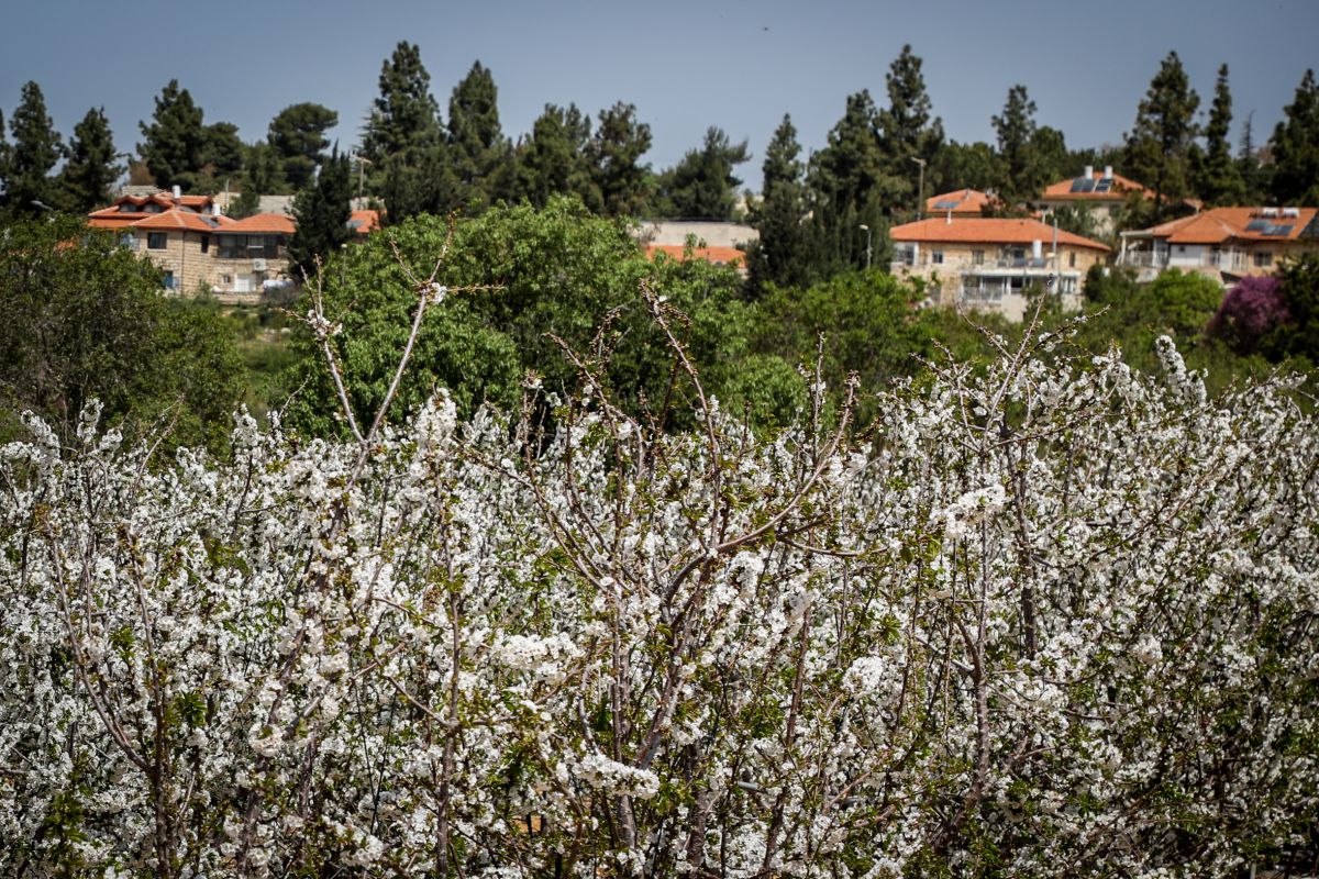 האם הסדרת חרבת זכריה בהסכמת מועצת גוש עציון?
