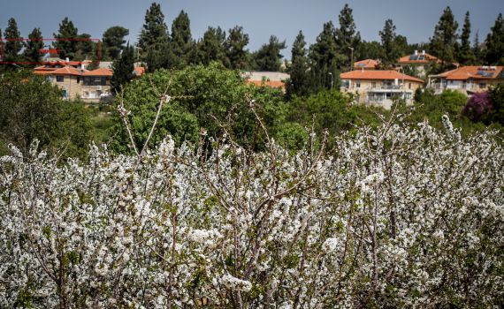 האם הסדרת חרבת זכריה בהסכמת מועצת גוש עציון?