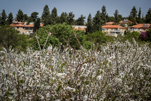 האם הסדרת חרבת זכריה בהסכמת מועצת גוש עציון?