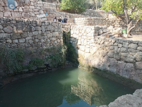 מהגולן ועד הנגב: טיולים מומלצים לחג הסוכות