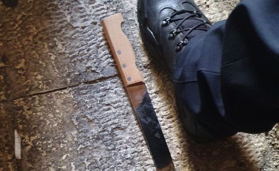 דקרו ושרפו: אלו המחבלות ששוחררו אמש מהכלא