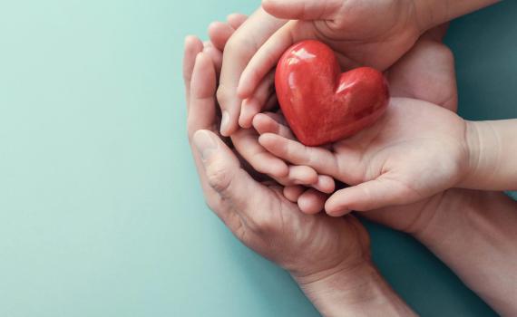 המקצוע שמושתת על חסד ונתינה עצומה