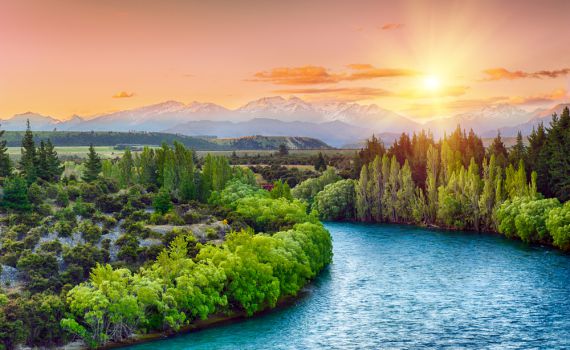 לראשונה מאז הקורונה: ניו זילנד נפתחה באופן מלא