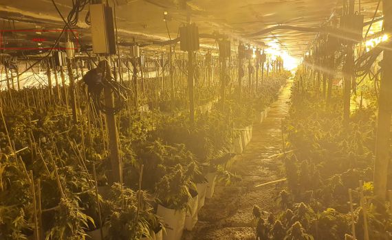 דונם וחצי מתחת לאדמה • נחשפה מעבדת סמים ענקית