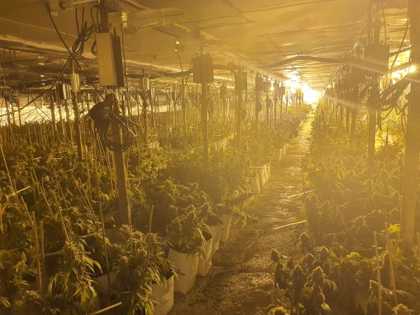 דונם וחצי מתחת לאדמה • נחשפה מעבדת סמים ענקית