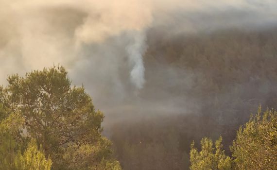 השריפה בהרי ירושלים: החשד – הצתה מכוונת