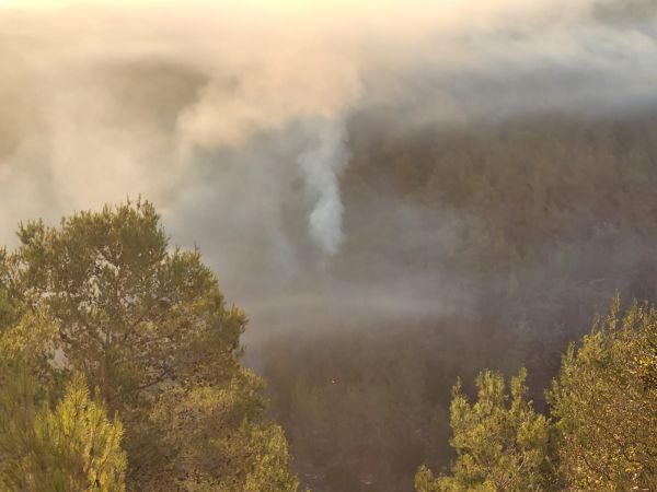 השריפה בהרי ירושלים: החשד – הצתה מכוונת