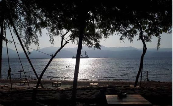 לא רק נחלתם של מחבקי עצים: ההזדמנות הישראלית