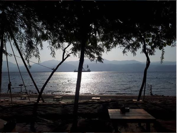 לא רק נחלתם של מחבקי עצים: ההזדמנות הישראלית