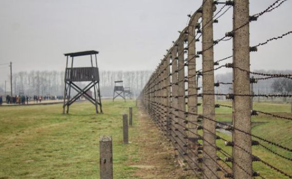 ארה"ב: "ללמד גם את הגישה ההפוכה על השואה"