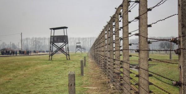 ארה"ב: "ללמד גם את הגישה ההפוכה על השואה"