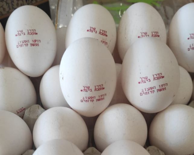 טעונות גניזה? | הביצים שכבשו את הרשת