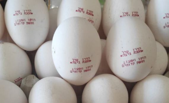 טעונות גניזה? | הביצים שכבשו את הרשת