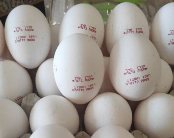 טעונות גניזה? | הביצים שכבשו את הרשת