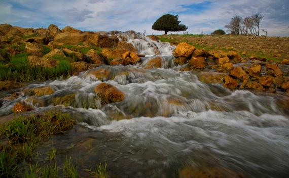 בגלל זיהום: 10 נחלים ברמת הגולן אסורים לכניסה