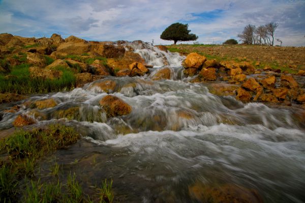 בגלל זיהום: 10 נחלים ברמת הגולן אסורים לכניסה