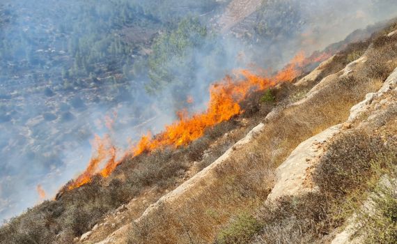 שריפה בהר גילה: ציר וואלג'ה נחסם לתנועה