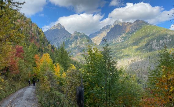 רגע לפני שהמדינה הזאת הופכת ליעד הכי פופולרי