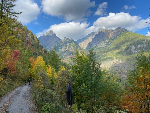 רגע לפני שהמדינה הזאת הופכת ליעד הכי פופולרי