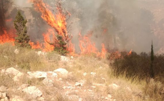 התחדשה השריפה בגוש עציון, כבישים באזור נחסמו