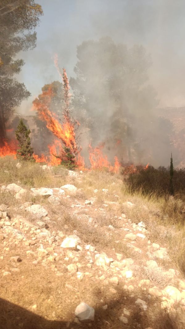 התחדשה השריפה בגוש עציון, כבישים באזור נחסמו