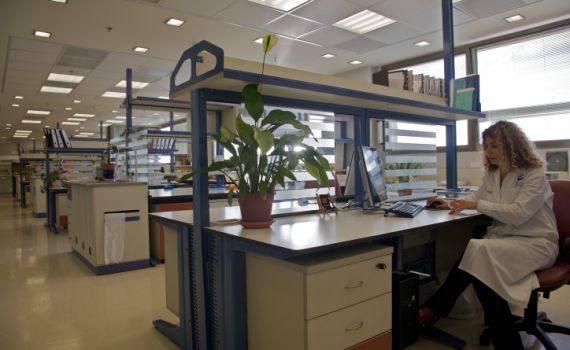 לאחר סערת המצבה: כך הגיבו בתי החולים ברשת