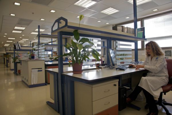 לאחר סערת המצבה: כך הגיבו בתי החולים ברשת