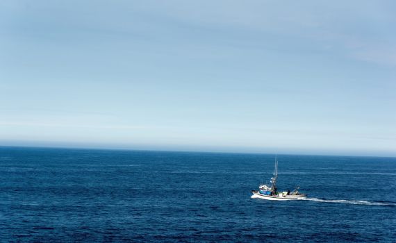 איראן: משמרות המהפכה הרחיקו ספינה אמריקאית