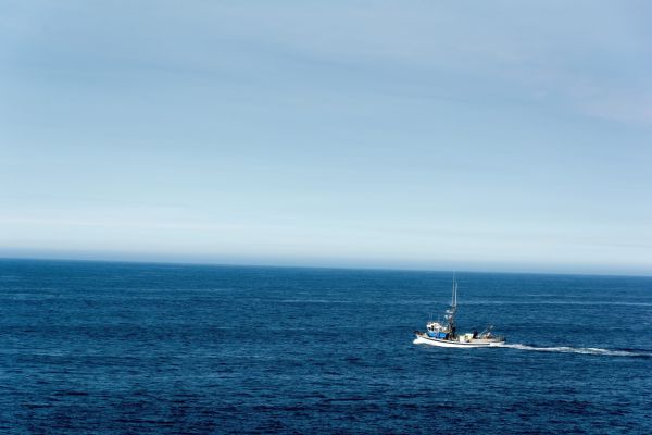 איראן: משמרות המהפכה הרחיקו ספינה אמריקאית