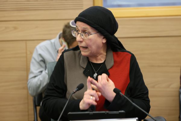 מהומה בוועדה | סטרוק לטאהא: "אתה גזען"