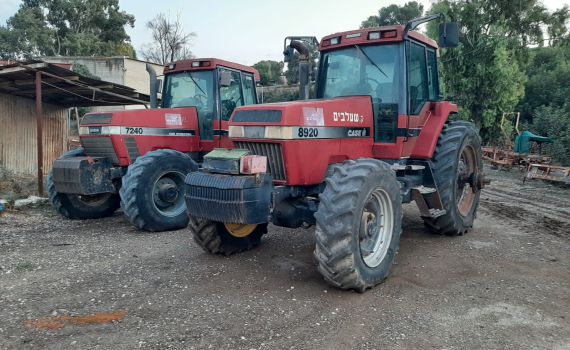 חוגגים את האור עם "פסטיבל חקלאות ושמיטה"