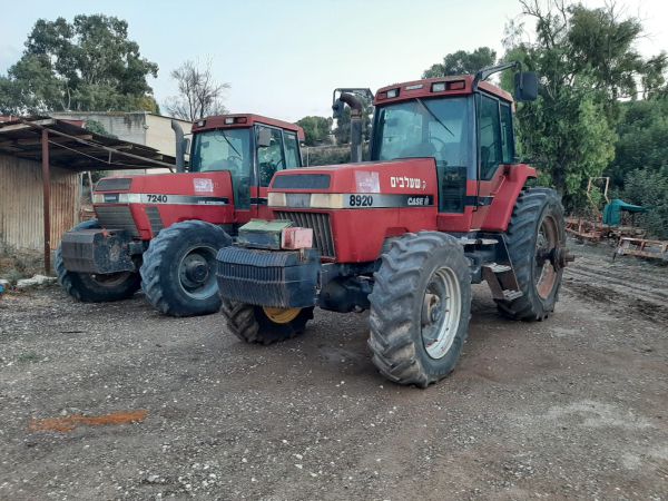 חוגגים את האור עם "פסטיבל חקלאות ושמיטה"