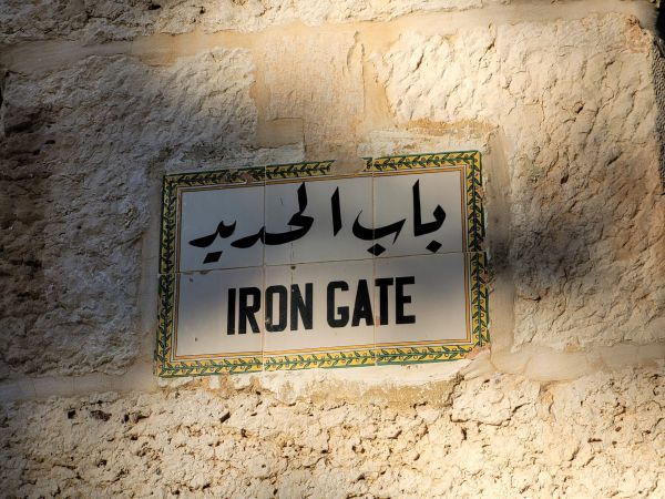 משילות? אף אחד לא רוצה לאכוף את החוק בהר הבית