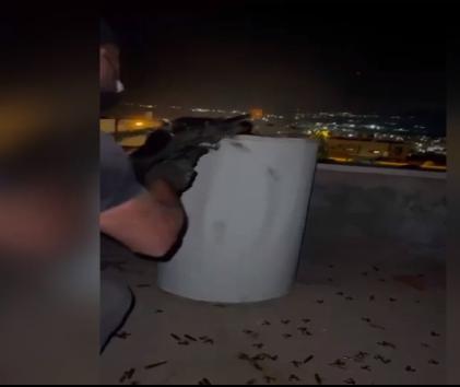 ערבים מטובה זנגריה ירו ירי חי לעבר ראש פינה