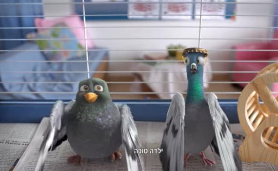 הסלב שיחליף את היונים בפרסומת של ביטוח ישיר