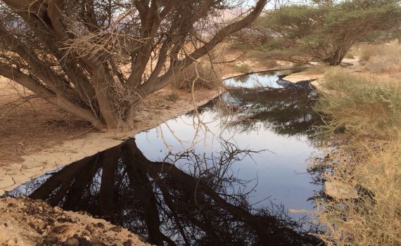 משרד הבריאות מזהיר: זיהומים בנחלי הצפון