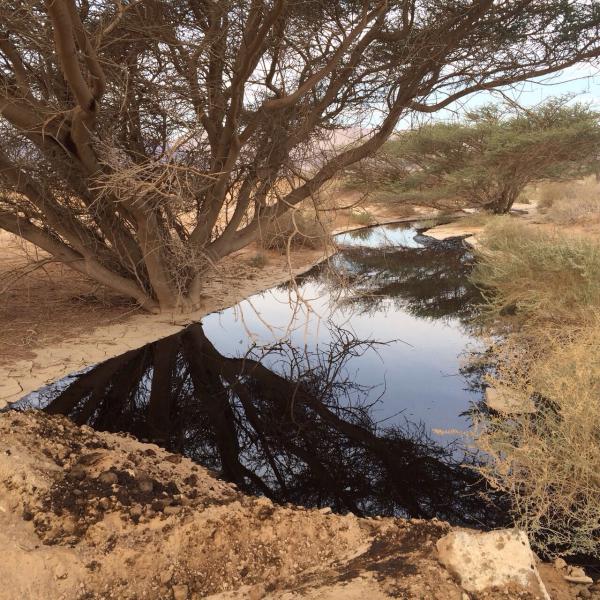 משרד הבריאות מזהיר: זיהומים בנחלי הצפון
