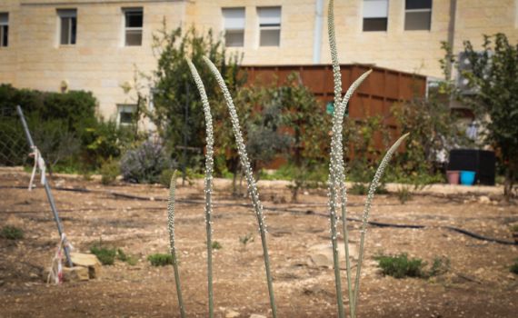 היישוב הראשון בגוש עציון חובר לסיב אופטי