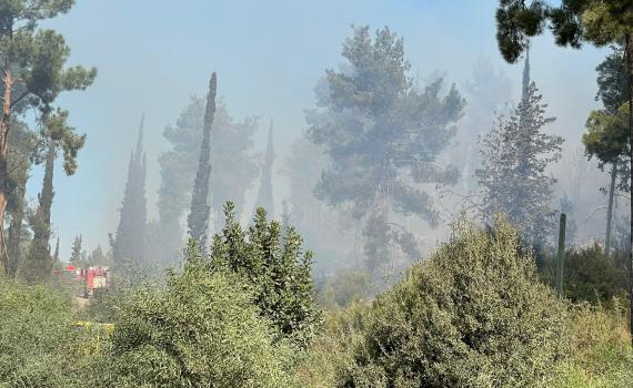 הושגה הכלה על השריפה ביער אשתאול
