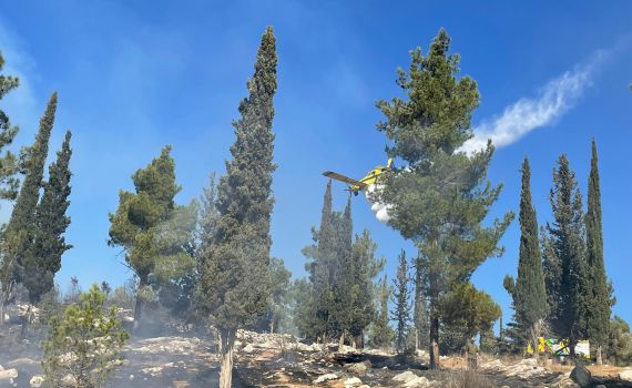 השריפה באשתאול: 40 דונם נשרפו