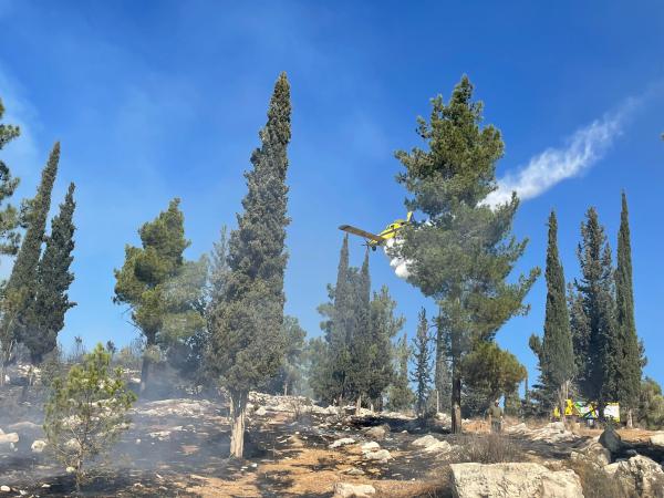 השריפה באשתאול: 40 דונם נשרפו