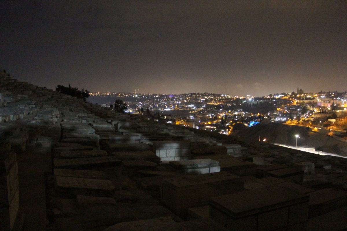 פרויקט חדש לעידוד הציבור לסייר בהר הזיתים